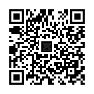 skins.qr_code_alt
