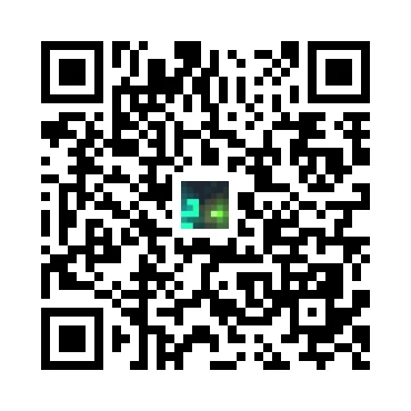 skins.qr_code_alt