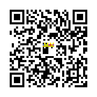 skins.qr_code_alt