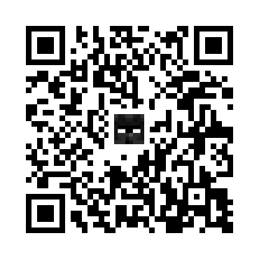 skins.qr_code_alt