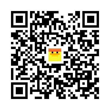 skins.qr_code_alt
