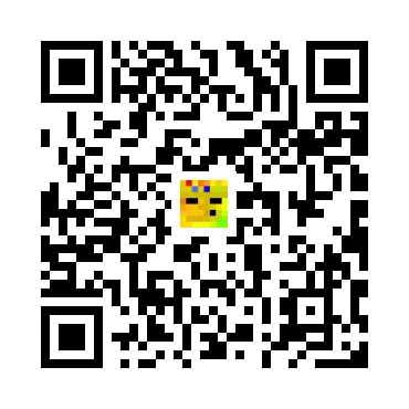 skins.qr_code_alt