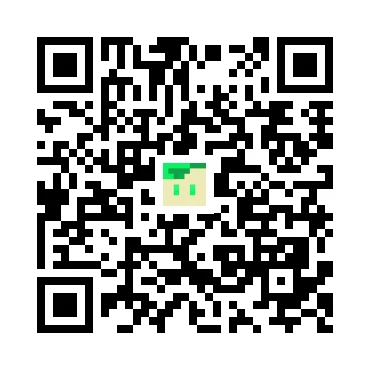 skins.qr_code_alt