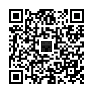 skins.qr_code_alt