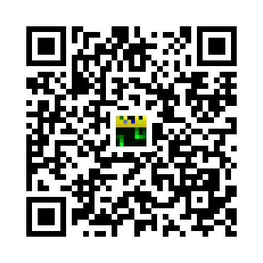 skins.qr_code_alt