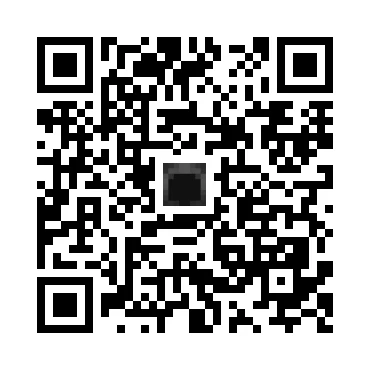 skins.qr_code_alt