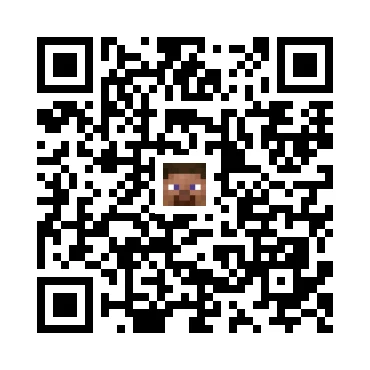 skins.qr_code_alt