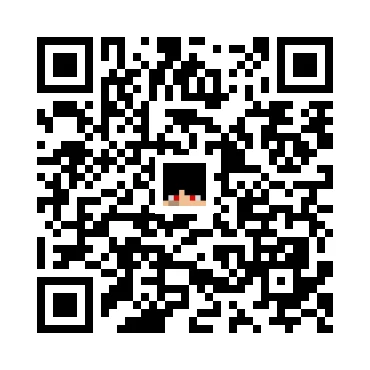 skins.qr_code_alt