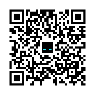 skins.qr_code_alt