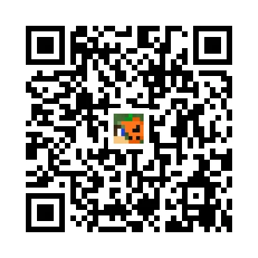 skins.qr_code_alt