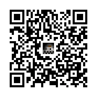 skins.qr_code_alt