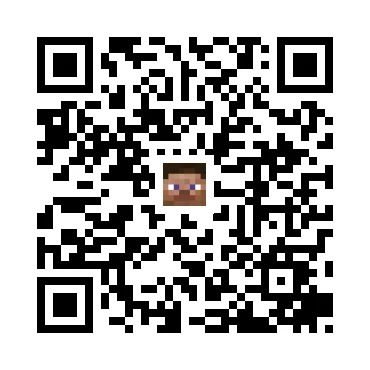 skins.qr_code_alt