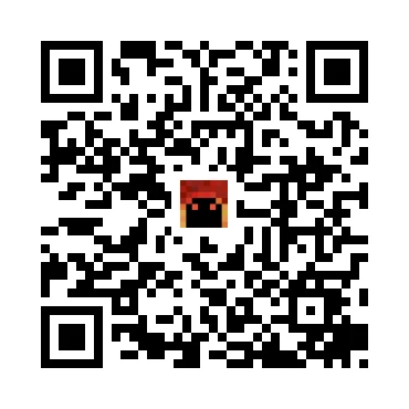skins.qr_code_alt