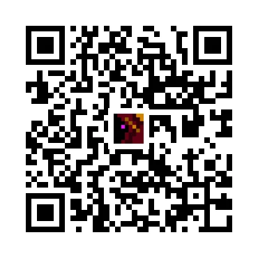 skins.qr_code_alt