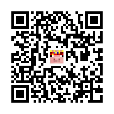 skins.qr_code_alt