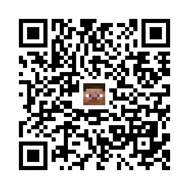 skins.qr_code_alt