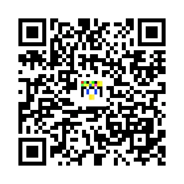 skins.qr_code_alt