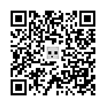 skins.qr_code_alt
