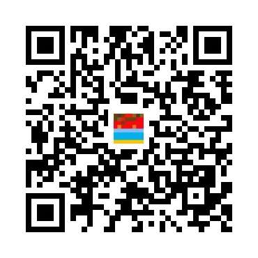skins.qr_code_alt