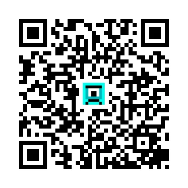 skins.qr_code_alt