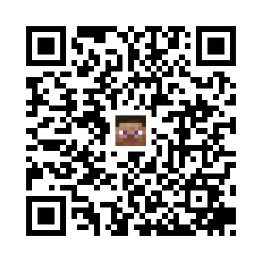 skins.qr_code_alt