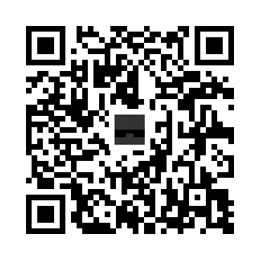skins.qr_code_alt