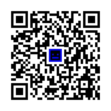 skins.qr_code_alt