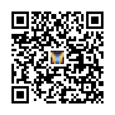 skins.qr_code_alt