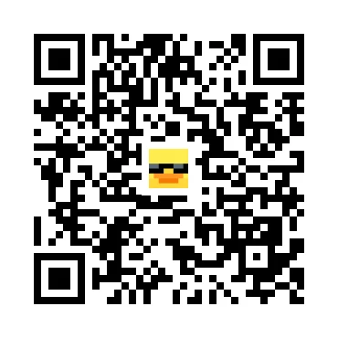 skins.qr_code_alt