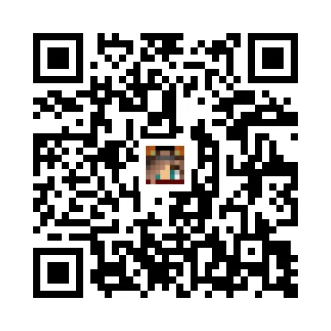 skins.qr_code_alt