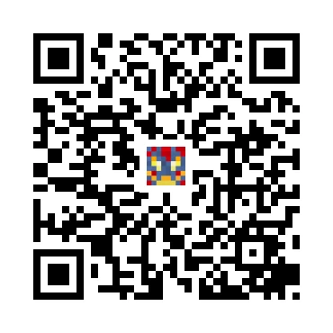 skins.qr_code_alt