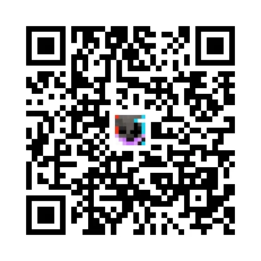 skins.qr_code_alt