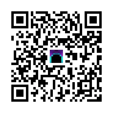 skins.qr_code_alt