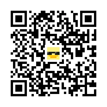 skins.qr_code_alt
