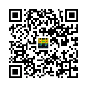skins.qr_code_alt