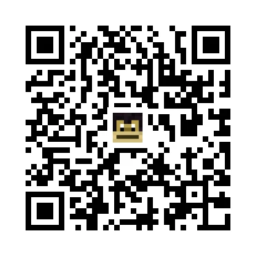 skins.qr_code_alt