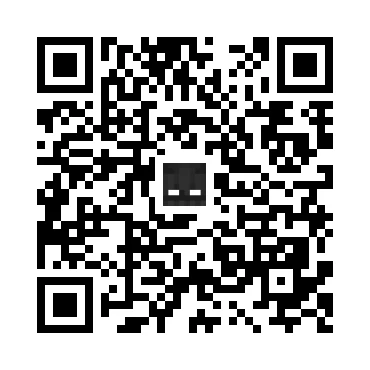 skins.qr_code_alt