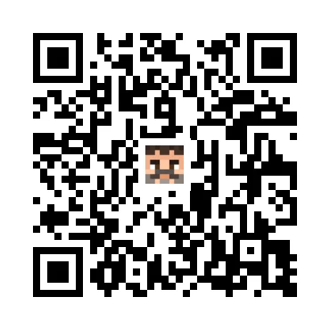 skins.qr_code_alt