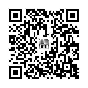 skins.qr_code_alt