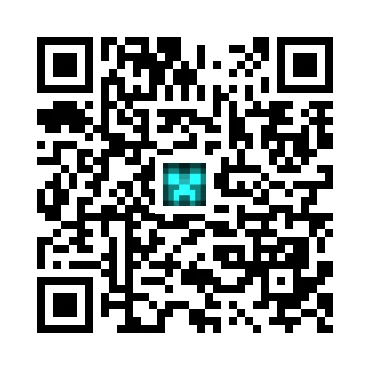 skins.qr_code_alt