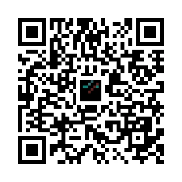skins.qr_code_alt