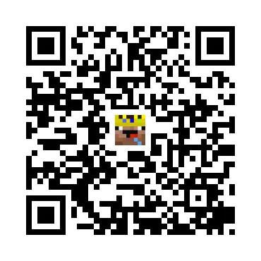 skins.qr_code_alt