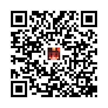 skins.qr_code_alt