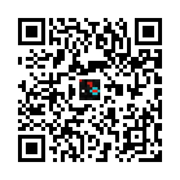 skins.qr_code_alt