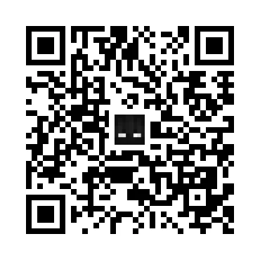 skins.qr_code_alt