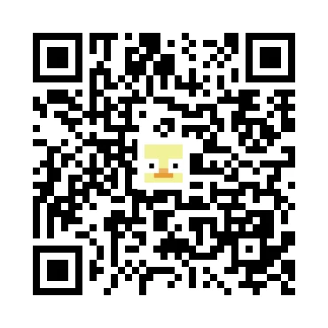 skins.qr_code_alt
