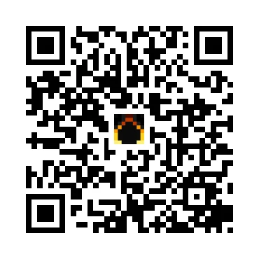 skins.qr_code_alt
