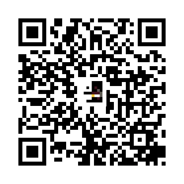 skins.qr_code_alt