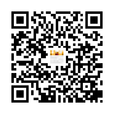 skins.qr_code_alt