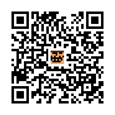 skins.qr_code_alt